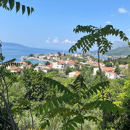 Apartment Davor Gradac  Bagian luar foto