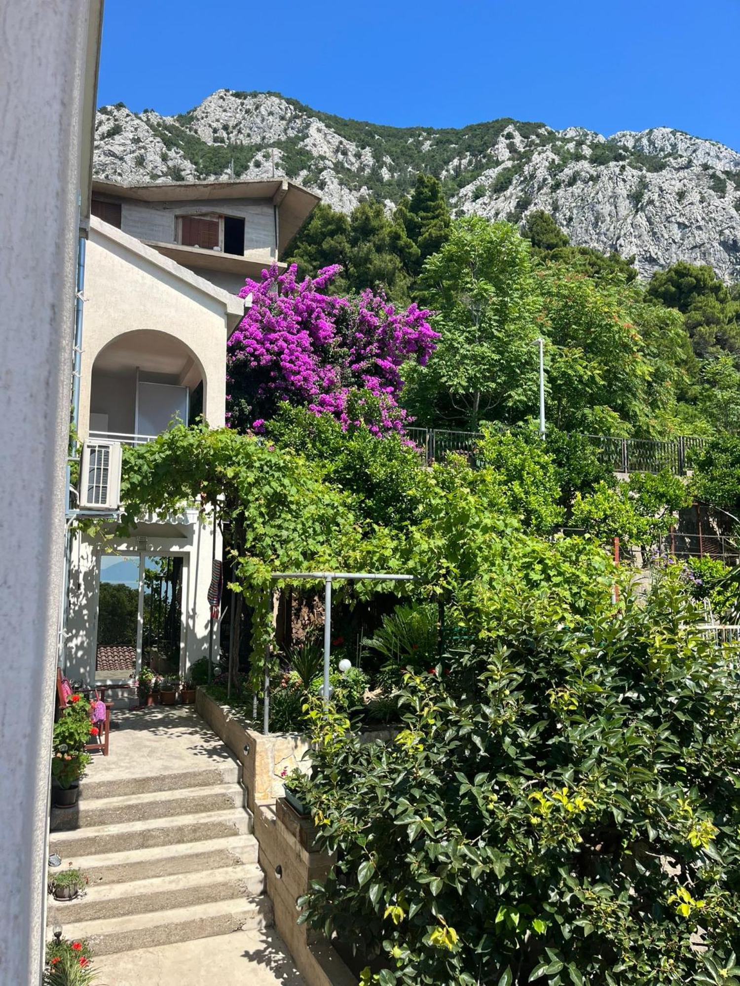 Apartment Davor Gradac  Bagian luar foto