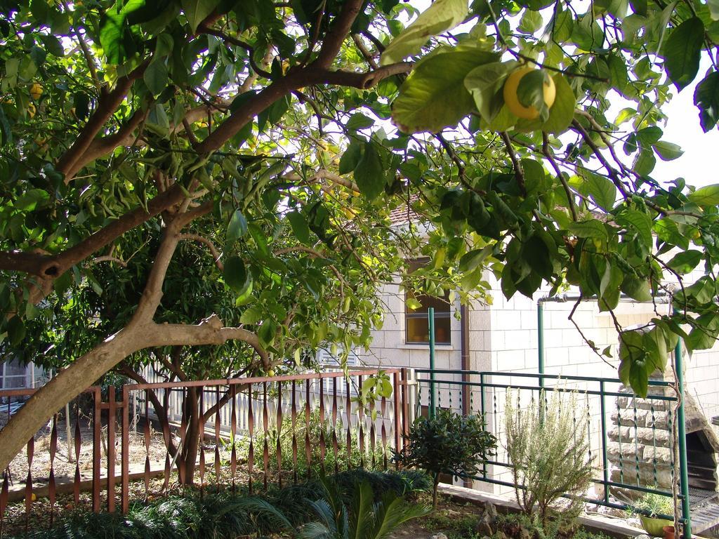 Apartment Davor Gradac  Ruang foto